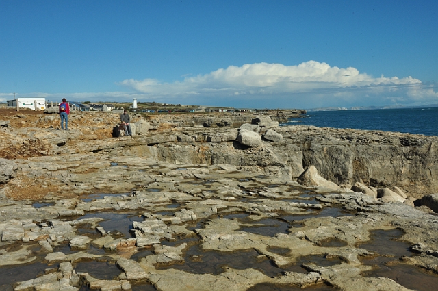 11 10 14_9361.JPG - PORTLAND BILL, DORSET - 11.10.14